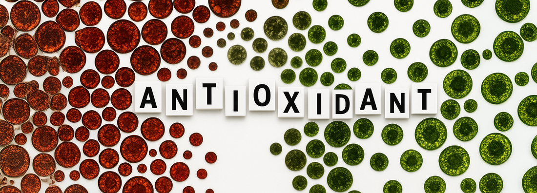 Antioxidant in Sunscreen: The Enhanced Protection You Deserve