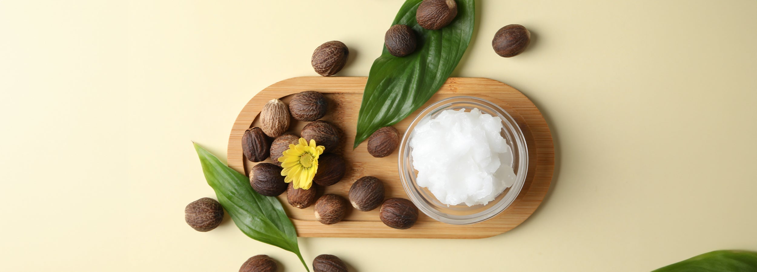 The Skin-Nourishing Benefits of Shea Butter