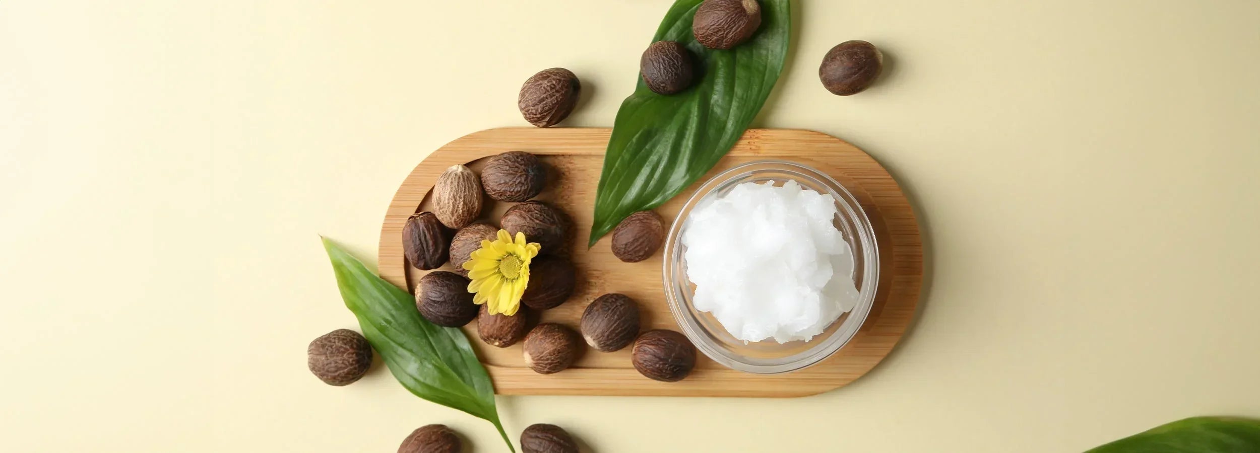 Image of Shea Butter for Skin: Benefits, Uses and Who Should Avoid It