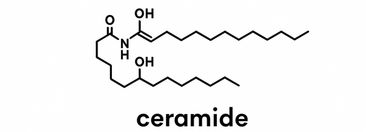 Everything You Should Know About Ceramides for the Skin