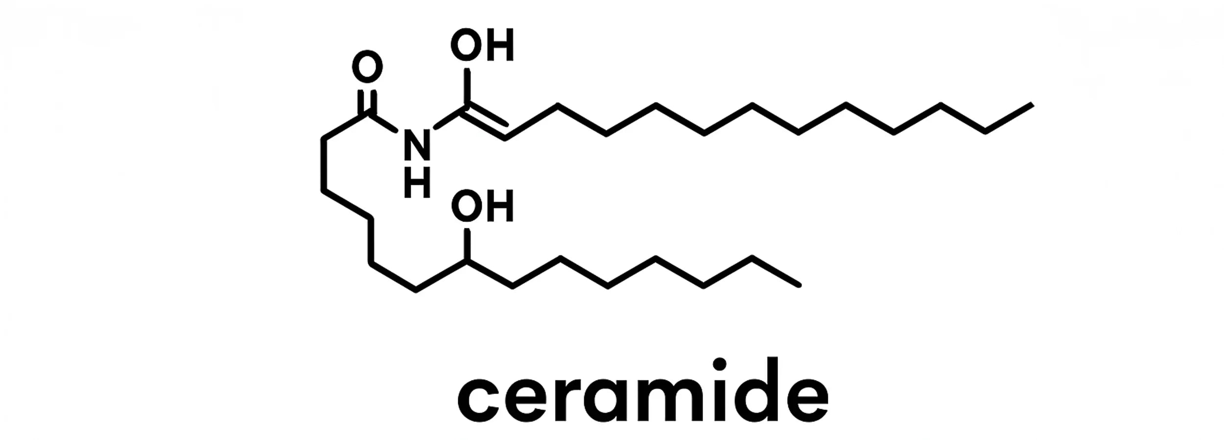 Ceramides for Skin: Benefits, Barrier Support and How to Use Them
