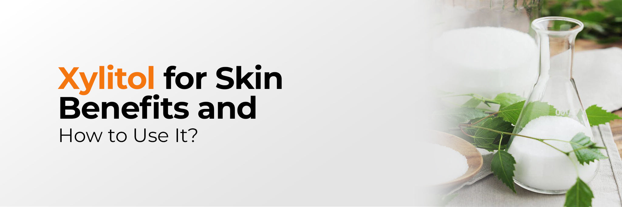 Xylitol for Skin: Hydration Benefits and Barrier Support