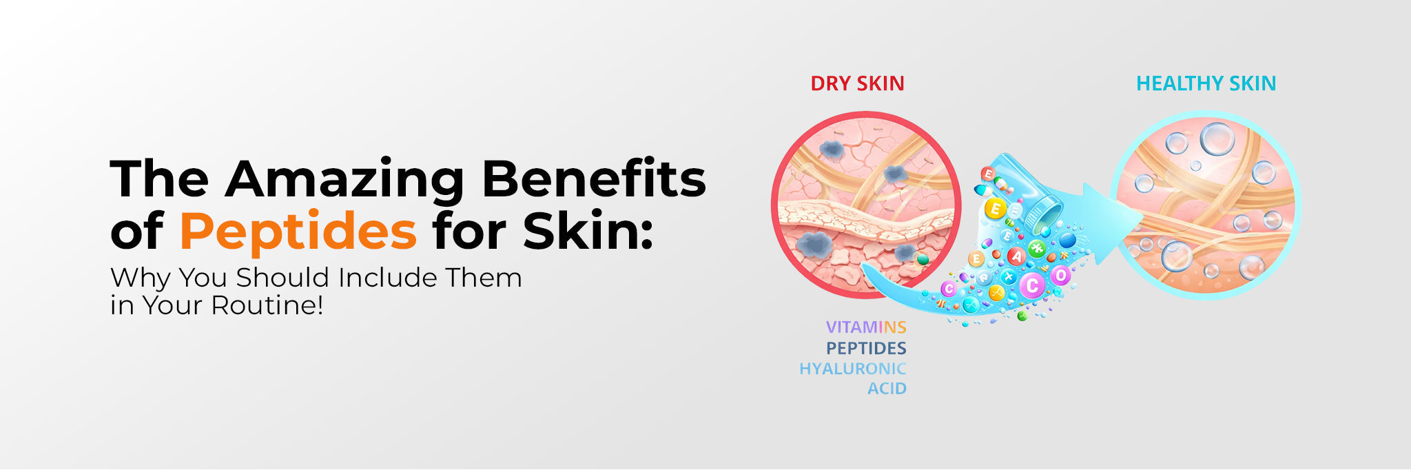 Peptide Benefits for Skin: Firmness, Hydration and Barrier Support
